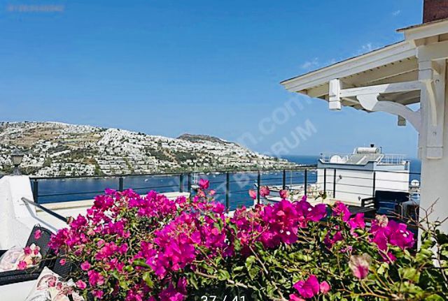 Yürüyüş yolu ve peyzaj